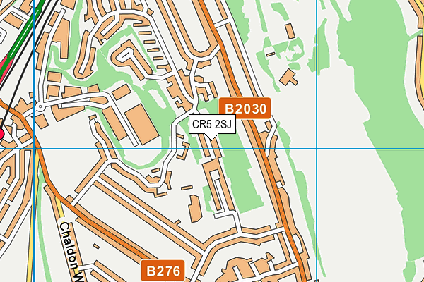 CR5 2SJ map - OS VectorMap District (Ordnance Survey)