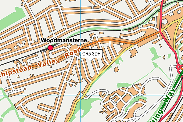 CR5 3DH map - OS VectorMap District (Ordnance Survey)