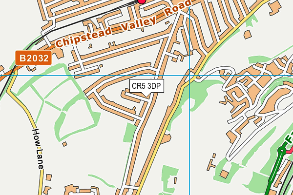 CR5 3DP map - OS VectorMap District (Ordnance Survey)