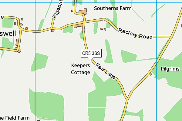 CR5 3SS map - OS VectorMap District (Ordnance Survey)