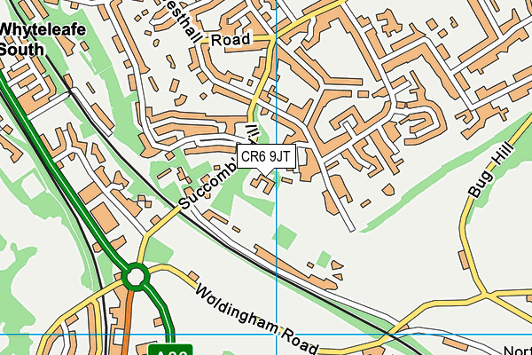 CR6 9JT map - OS VectorMap District (Ordnance Survey)