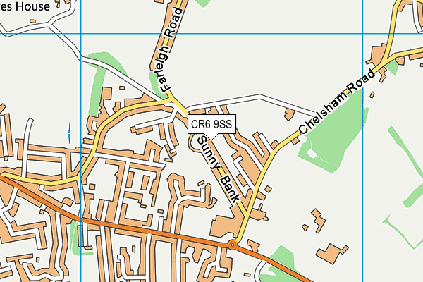 CR6 9SS map - OS VectorMap District (Ordnance Survey)