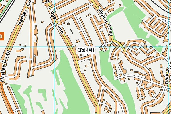 Reedham Park map (CR8 4AH) - OS VectorMap District (Ordnance Survey)