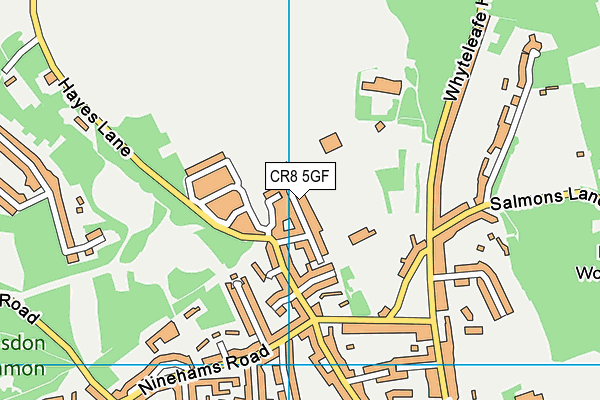 CR8 5GF map - OS VectorMap District (Ordnance Survey)