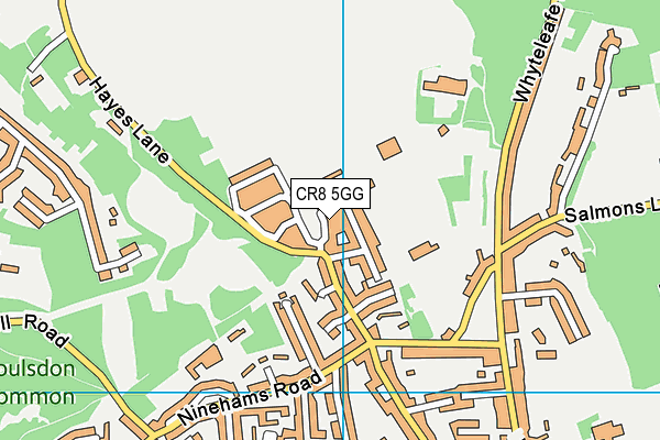 CR8 5GG map - OS VectorMap District (Ordnance Survey)