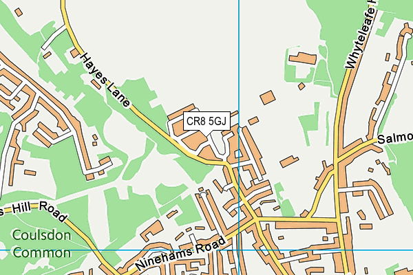 CR8 5GJ map - OS VectorMap District (Ordnance Survey)