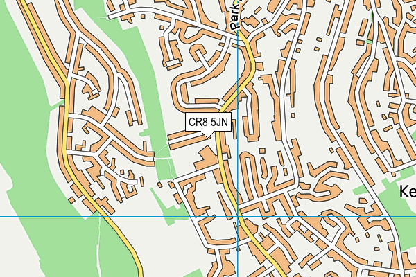 The Hayes Primary School map (CR8 5JN) - OS VectorMap District (Ordnance Survey)