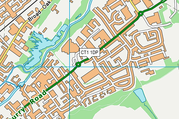 CT1 1DP map - OS VectorMap District (Ordnance Survey)