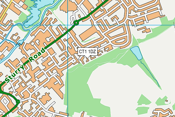 CT1 1DZ map - OS VectorMap District (Ordnance Survey)