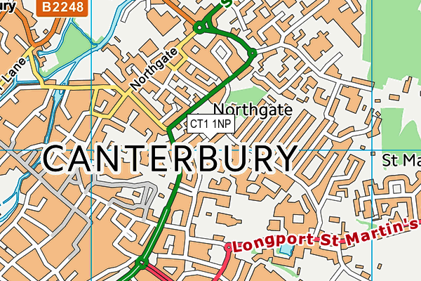 CT1 1NP map - OS VectorMap District (Ordnance Survey)