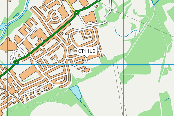 CT1 1UD map - OS VectorMap District (Ordnance Survey)