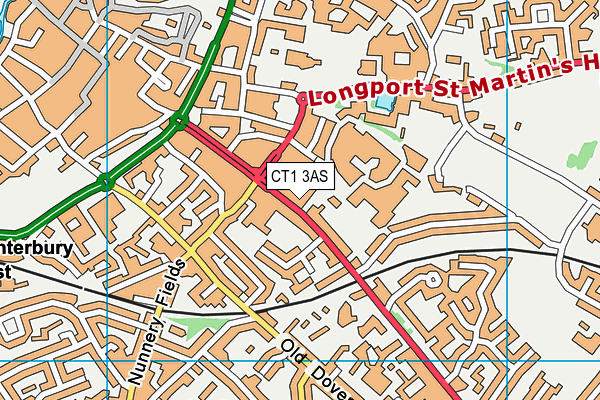 CT1 3AS map - OS VectorMap District (Ordnance Survey)