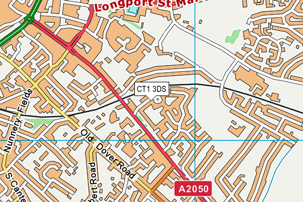 CT1 3DS map - OS VectorMap District (Ordnance Survey)