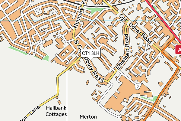 CT1 3LH map - OS VectorMap District (Ordnance Survey)