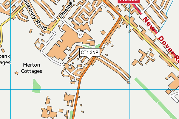 CT1 3NP map - OS VectorMap District (Ordnance Survey)