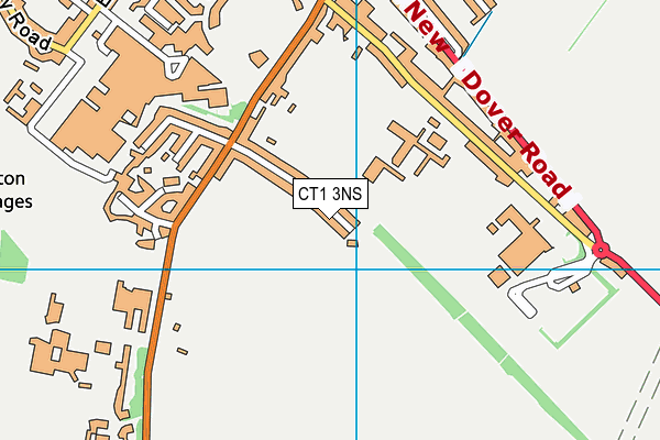 CT1 3NS map - OS VectorMap District (Ordnance Survey)