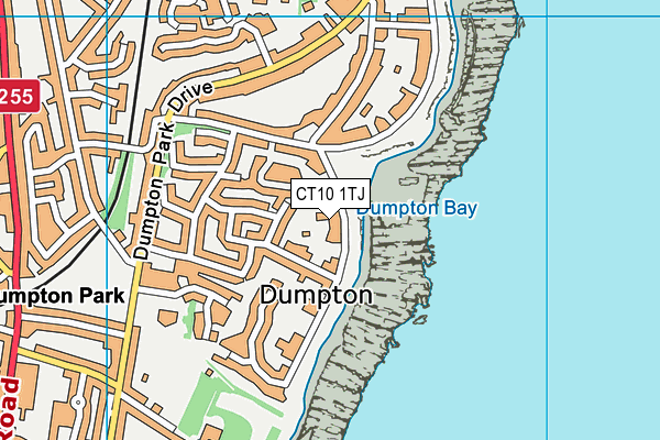 CT10 1TJ map - OS VectorMap District (Ordnance Survey)