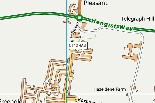 CT12 4AS map - OS VectorMap District (Ordnance Survey)