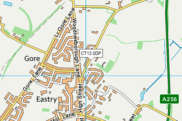 CT13 0DP map - OS VectorMap District (Ordnance Survey)