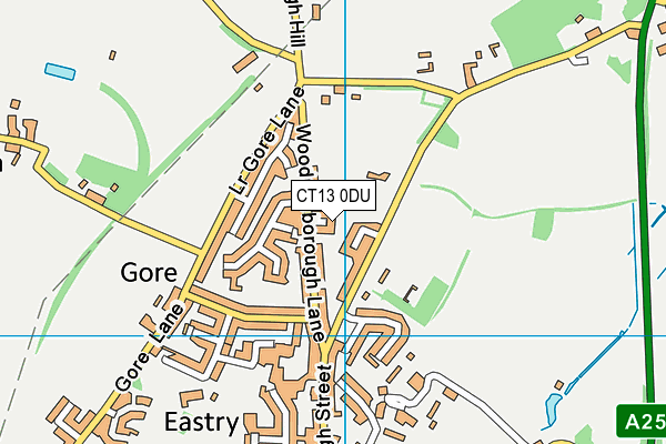 CT13 0DU map - OS VectorMap District (Ordnance Survey)
