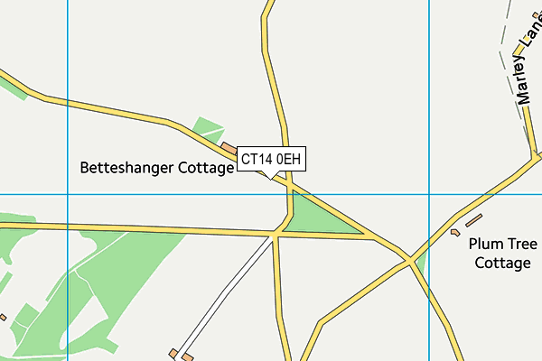 CT14 0EH map - OS VectorMap District (Ordnance Survey)