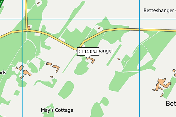 CT14 0NJ map - OS VectorMap District (Ordnance Survey)