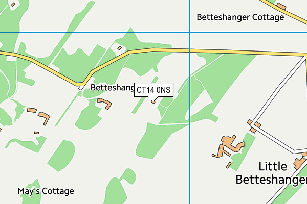 CT14 0NS map - OS VectorMap District (Ordnance Survey)