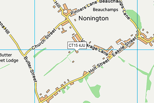 CT15 4JU map - OS VectorMap District (Ordnance Survey)