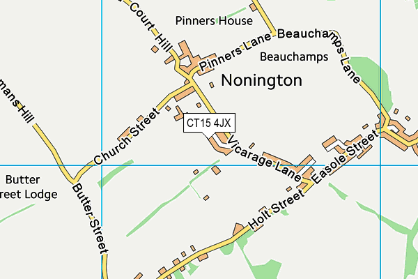 CT15 4JX map - OS VectorMap District (Ordnance Survey)