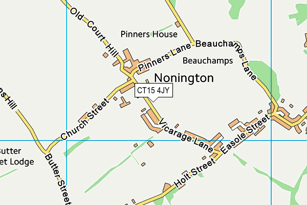 CT15 4JY map - OS VectorMap District (Ordnance Survey)