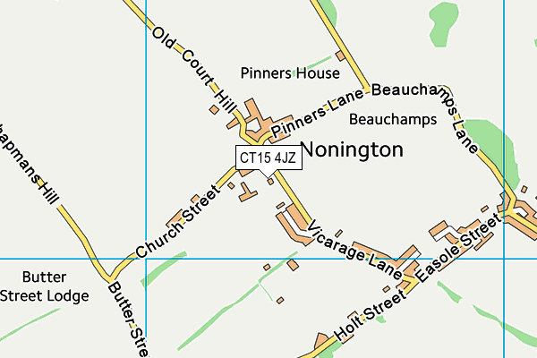 CT15 4JZ map - OS VectorMap District (Ordnance Survey)