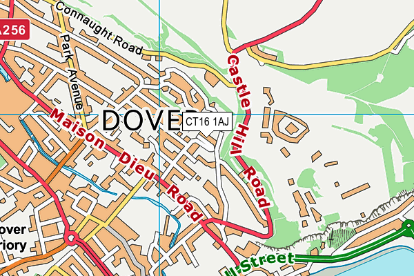 CT16 1AJ map - OS VectorMap District (Ordnance Survey)