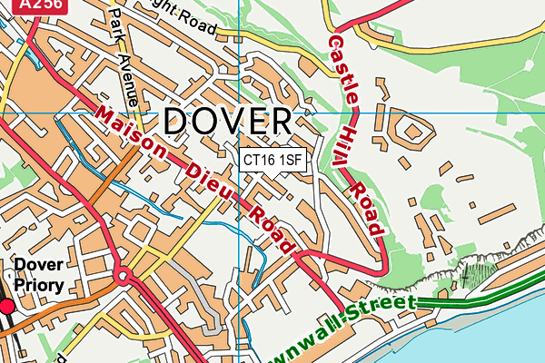 CT16 1SF map - OS VectorMap District (Ordnance Survey)