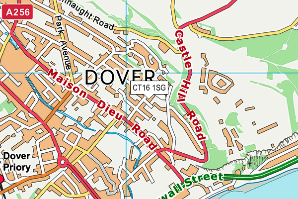 CT16 1SG map - OS VectorMap District (Ordnance Survey)