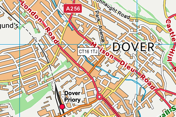 CT16 1TJ map - OS VectorMap District (Ordnance Survey)