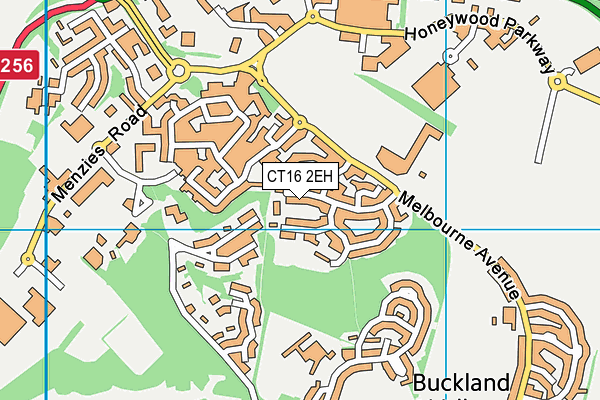 CT16 2EH map - OS VectorMap District (Ordnance Survey)