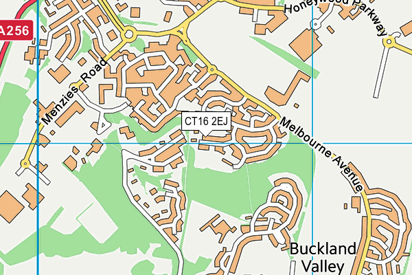 CT16 2EJ map - OS VectorMap District (Ordnance Survey)