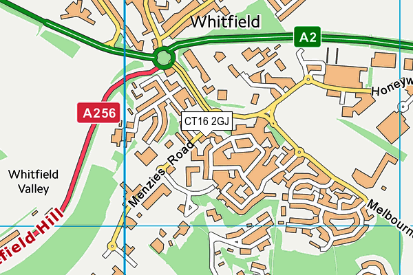 CT16 2GJ map - OS VectorMap District (Ordnance Survey)