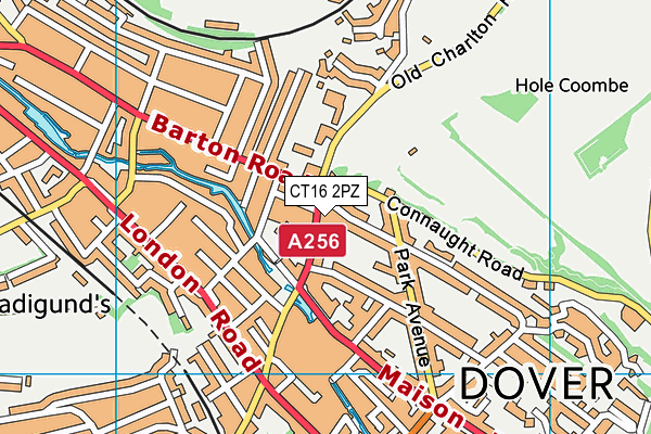 Dover Grammar School for Girls map (CT16 2PZ) - OS VectorMap District (Ordnance Survey)