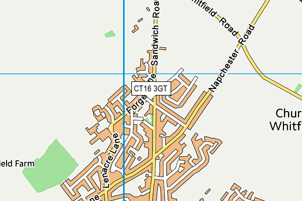 CT16 3GT map - OS VectorMap District (Ordnance Survey)