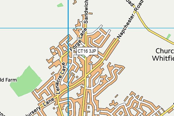 CT16 3JP map - OS VectorMap District (Ordnance Survey)