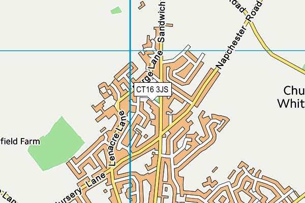 CT16 3JS map - OS VectorMap District (Ordnance Survey)
