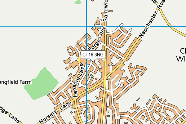 CT16 3NG map - OS VectorMap District (Ordnance Survey)