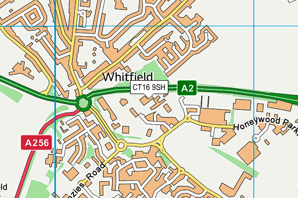 CT16 9SH map - OS VectorMap District (Ordnance Survey)