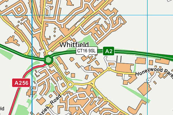 CT16 9SL map - OS VectorMap District (Ordnance Survey)