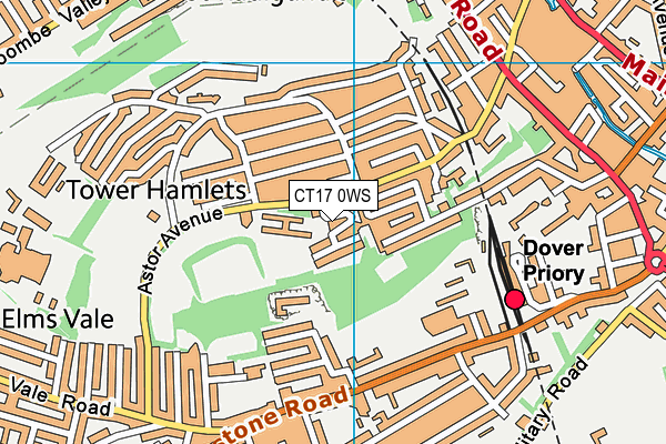 CT17 0WS map - OS VectorMap District (Ordnance Survey)