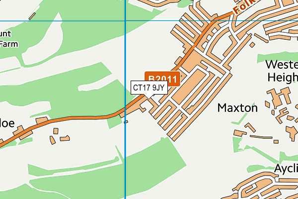 CT17 9JY map - OS VectorMap District (Ordnance Survey)