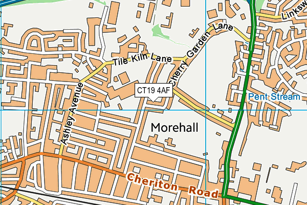 CT19 4AF map - OS VectorMap District (Ordnance Survey)