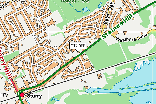 CT2 0EF map - OS VectorMap District (Ordnance Survey)