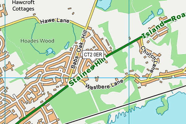 CT2 0ER map - OS VectorMap District (Ordnance Survey)